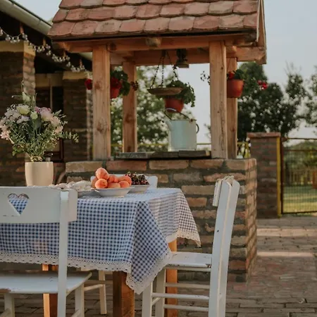 Seosko Turisticko Domacinstvo Biser Holiday home *