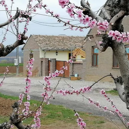 Hébergement de vacances Seosko Turisticko Domacinstvo Biser