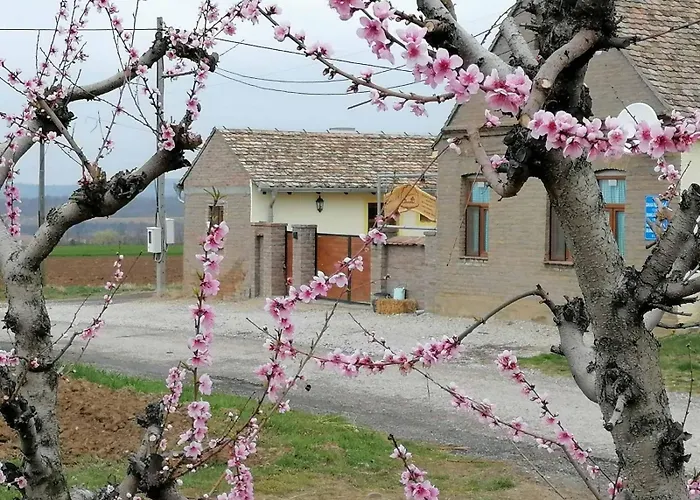 펜션 Seosko Turisticko Domacinstvo Biser