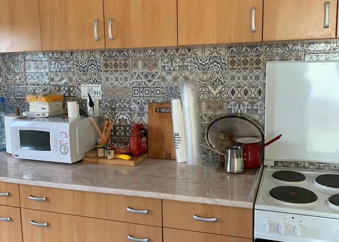 펜션 Seosko Turisticko Domacinstvo Biser Stara Bingula